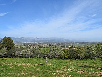 Imagen 1 Venta de terreno en SANTA EUGENIA (Pueblo) (Santa Eugènia)