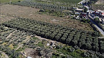 Foto Venta de terreno en Huércal de Almería, Huércal de Almería - Villa Inés