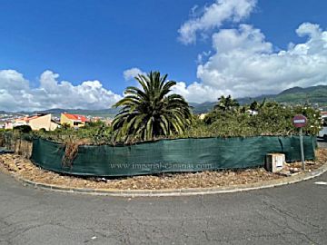 101386.jpg Venta de terrenos en La Quinta (Santa Úrsula), LA QUINTA