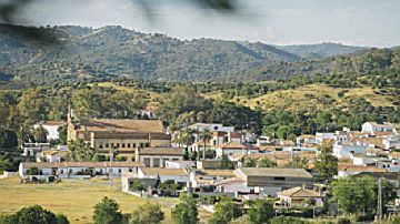 Imagen 17 de Villanueva del Río y Minas
