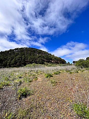 Imagen 1 Venta de terreno en El Pinar (El Pinar de El Hierro)