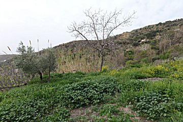 Imagen 26 de Granada