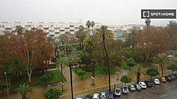 Imagen 8 de Ciudad Jardín
