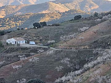 Imagen 2 de Este-Morlaco-Pedregalejo-C. Calderón-El Palo