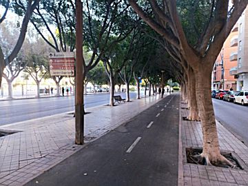 Imagen 21 de Ciudad Jardín, Tagarete, Zapillo