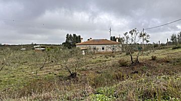 Imagen 49 de La Palma del Condado 