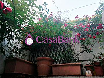 Imagen 8 de Casco Histórico-Ribera-San Basilio