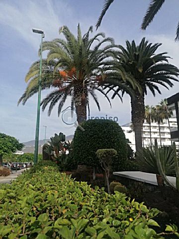 Imagen 19 de Puerto de la Cruz