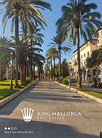 Imagen 17 de Palma de Mallorca (Capital)