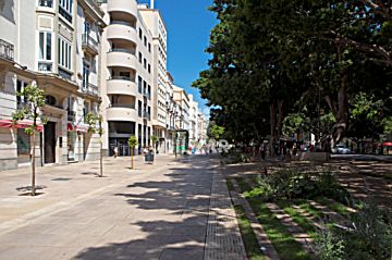 Imagen 35 de Puerto de Málaga