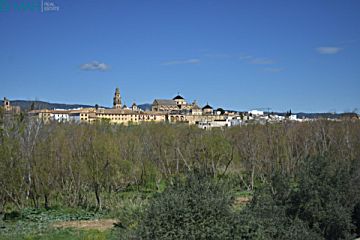 Imagen 2 de Campo de la Verdad, Sector Sur, Guadalquivir (Distrito Sur)
