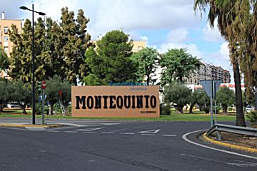 Imagen 39 de Montequinto