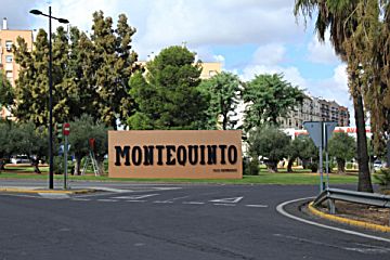 Imagen 28 de Montequinto