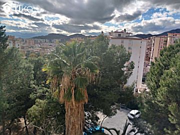Imagen 10 de Jardín de Málaga