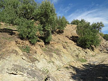Imagen 6 de Zahara de la Sierra