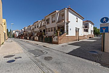 Imagen 1 de Castaño - Mirasierra