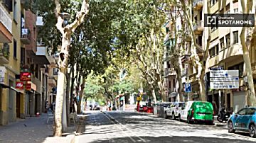 Imagen 28 de Sagrada Familia
