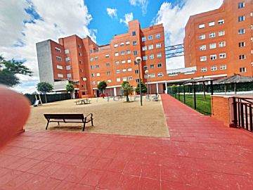 Imagen 29 de El Vivero - Hospital - Universidad