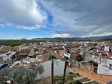 Imagen 39 de Palma de Gandia Población