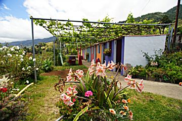 Imagen 3 de Santa Cruz de la Palma