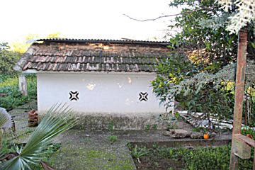 Imagen 57 de Arcángel, Fuensanta, Cañero (Distrito Sureste)