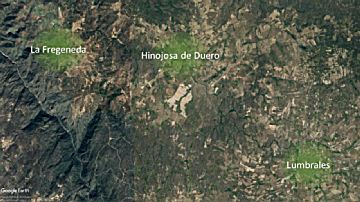 Imagen 5 de Hinojosa de Duero