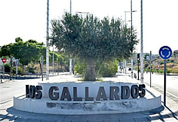 Imagen 12 de Los Gallardos Población