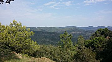 Imagen 1 de Roca Grossa-Serra Brava