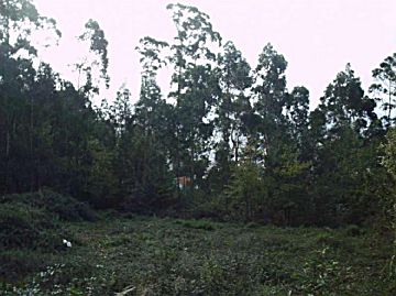 Imagen 3 de Lavadores