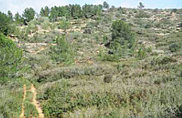 Imagen 4 de Vall d'Alba