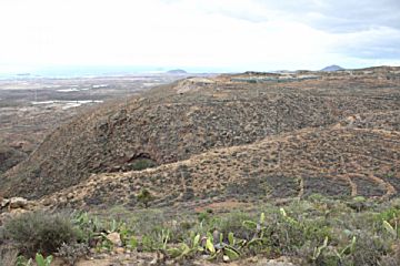 Imagen 10 de Arico (Pueblo)