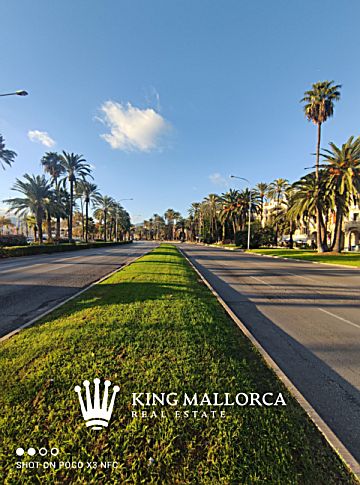 Imagen 20 de Palma de Mallorca (Capital)