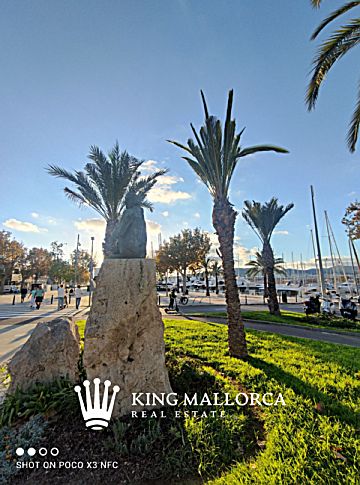 Imagen 23 de Palma de Mallorca (Capital)
