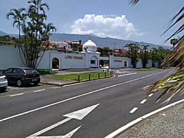 Imagen 41 de Puerto de la Cruz