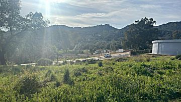 Imagen 8 de El Brillante, El Tablero, Valdeolleros (Distrito Norte Sierra)
