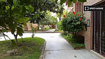 Imagen 3 de San Juan