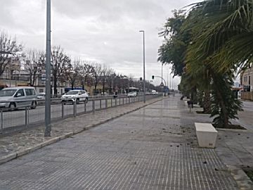 Imagen 8 de Alcalá del Río