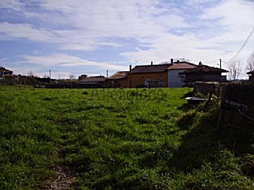 Imagen 2 de Limanes (Oviedo)