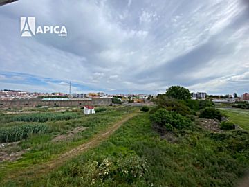 Imagen 18 de Algeciras