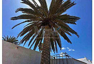 Imagen 22 de Fuerteventura