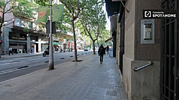 Imagen 20 de Sagrada Familia