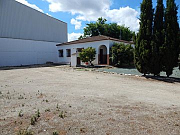 Imagen 14 de Antequera (Municipio)