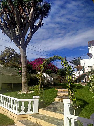 Imagen 34 de Puerto de la Cruz