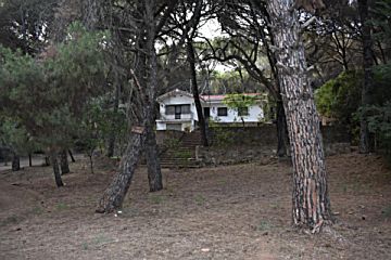 Imagen 3 de Periurbano - Alcolea, Sta Cruz, Villarubia, Trassierra