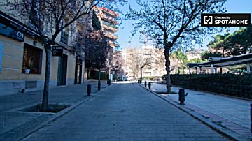 Imagen 36 de Ciudad Jardín