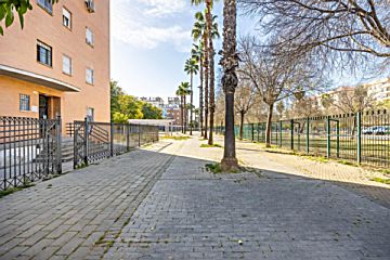 Imagen 23 de Sevilla Este