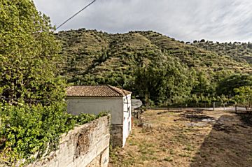 Imagen 28 de San Matías - Realejo