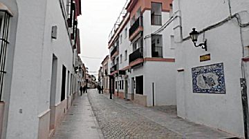 Imagen 19 de Palma del Río