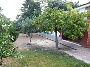 Imagen 31 de Antequera (Municipio)