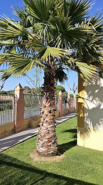 IMG_20170402_181150.jpg Alquiler de piso con piscina y terraza en Islantilla (Isla Cristina), Villa de Islantilla